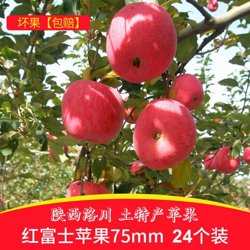 陕西洛川苹果 24枚80规格产地直发，香甜多汁的应季新鲜之选